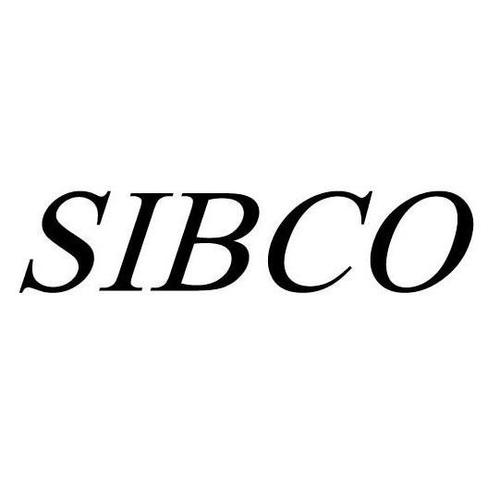 上海國際企業(yè)商務(wù)咨詢服務(wù)有限公司