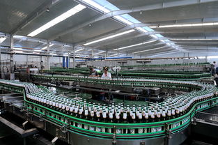 啤酒廠融資商業(yè)計(jì)劃書(shū)